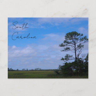 Postal Marsh de la Isla de la Caza