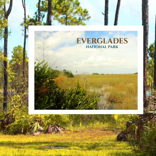 Postal Marsh en el Parque Nacional Everglades, Florida (Subido por el creador)