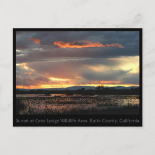 Postal Marsh Sunset #2 Postcard