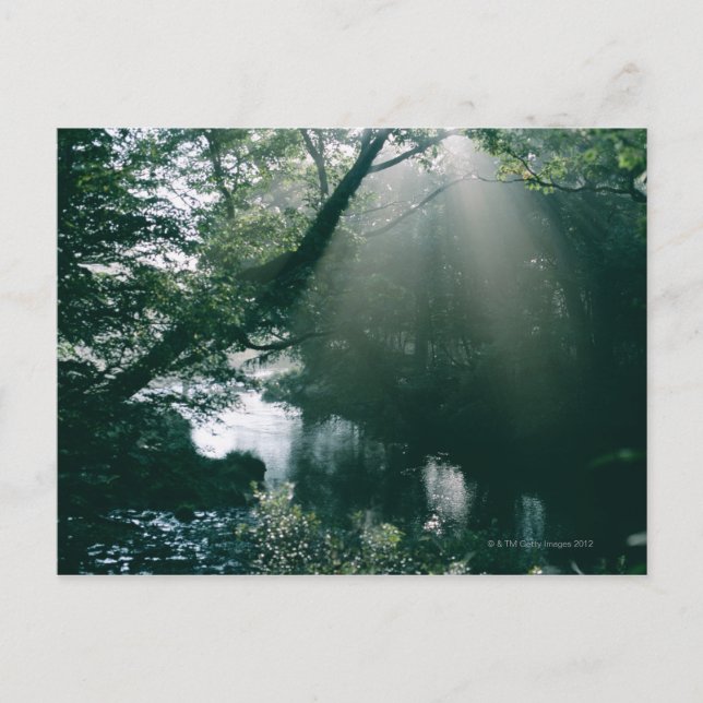 Postal Marshland 3 (Anverso)