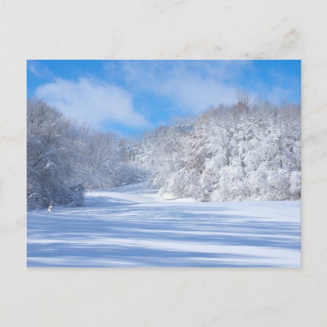 Postal Marthaler Park Snowy Hills (Anverso)