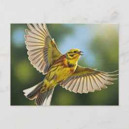 Postal Martillo de Aves de Alabama