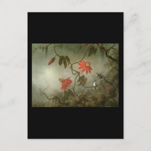 Postal Martin Johnson dirige flores de pasión y Hummingbi