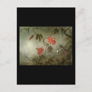 Postal Martin Johnson dirige flores de pasión y Hummingbi