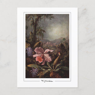 Postal Martin Johnson Heade #202 - Postcard Bella Artes