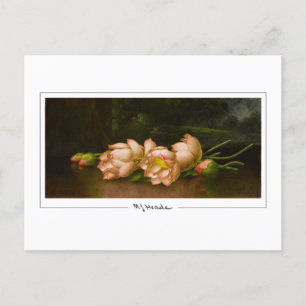 Postal Martin Johnson Heade #34 - Postcard Bella Artes