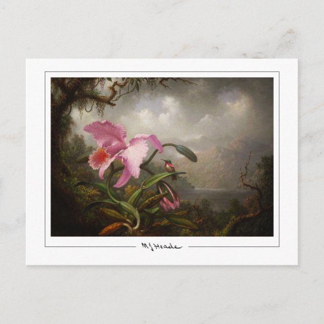 Postal Martin Johnson Heade #45 - Postcard Bella Artes (Anverso)