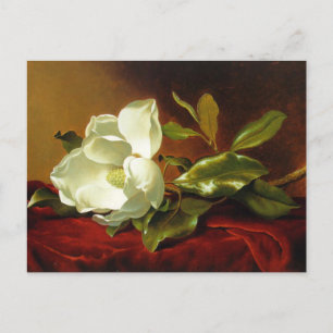 Postal Martin Johnson Heade Magnolia Vintage
