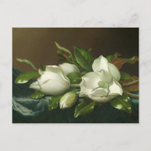 Postal Martin Johnson Heade - Magnolias en azul claro