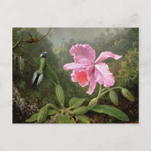 Postal Martin Johnson Heade Orchid Y Hummingbirds