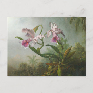 Postal Martin Johnson Heade - Orquídeas y Hummingbirds
