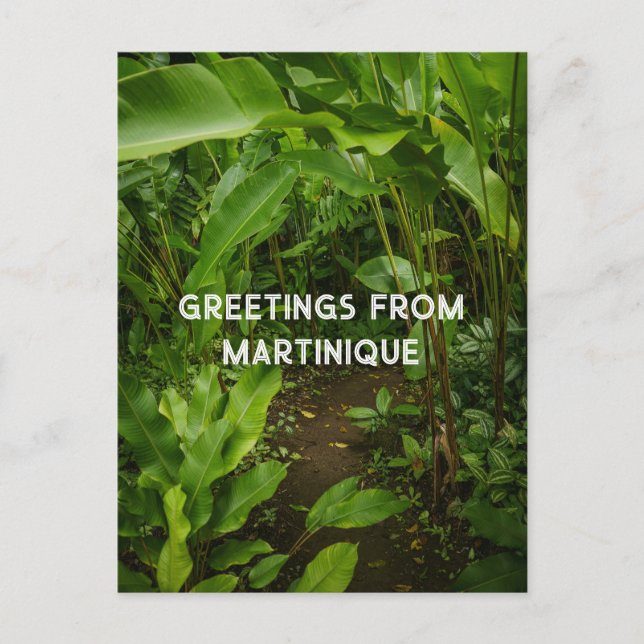 Postal Martinique tropical garden,  travel (Anverso)