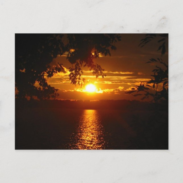 Postal Maryland 2005 (Anverso)