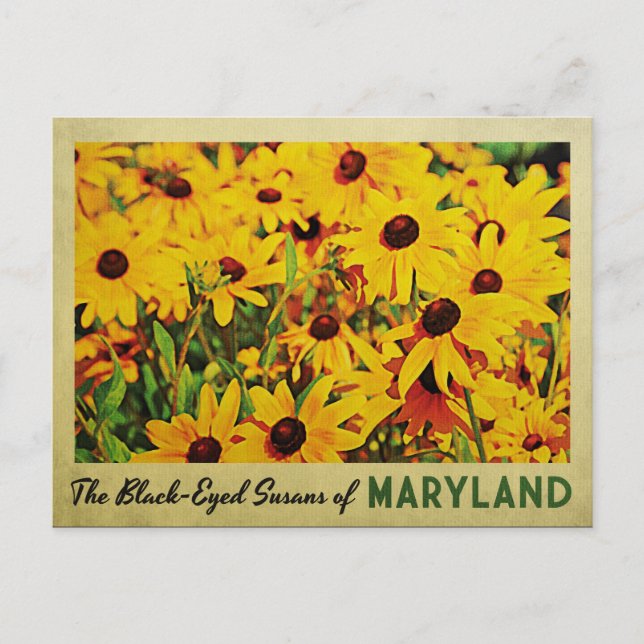Postal Maryland Black Eyed Susans (Anverso)
