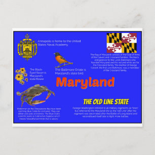 Postal Maryland Facts Postcard