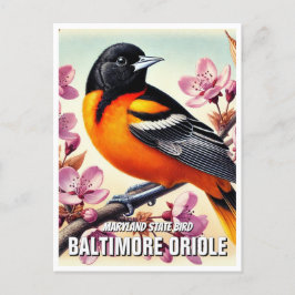 Postal Maryland State Bird Baltimore Oriole