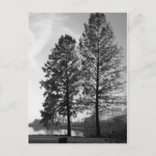 Postal Maryland Waterfront de Viena