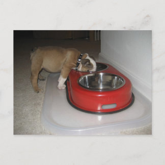 Postal más de lo que se puede masticar