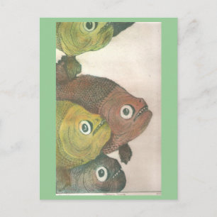 Postal mas piranhas