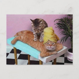 Postal Masaje gato divertido