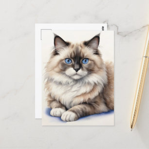 Postal Mascota acogedor Ragdoll Cat Ilustracion Ragdoll