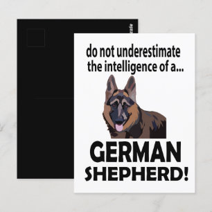 Postal Mascota Alemán de Perro Pastor