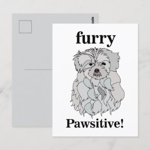 Postal Mascota animal de perro maltés divertido