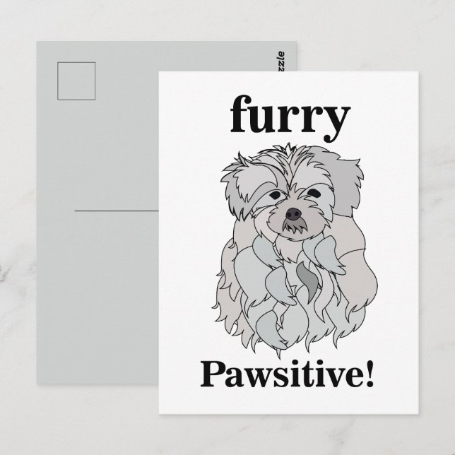 Postal Mascota animal de perro maltés divertido (Anverso / Reverso)