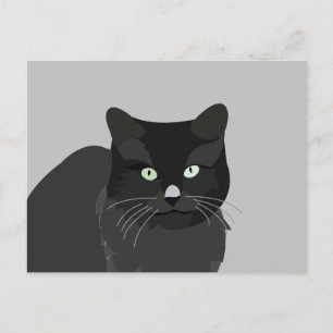 Postal Mascota Animal Gato Bonito