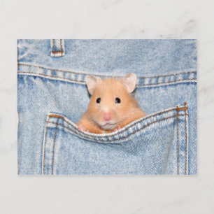 Postal mascota bolsillo