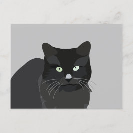 Postal Mascota de gato suave animal