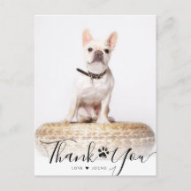 Mascota de guiones personalizados Foto conmemorati