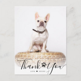 Postal Mascota de guiones personalizados Foto conmemorati