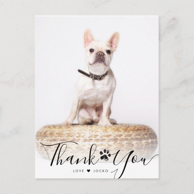 Postal Mascota de guiones personalizados Foto conmemorati (Anverso)