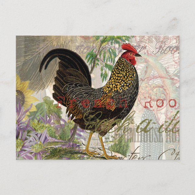 Postal Mascota de la granja de galerías de arte de cosech (Anverso)