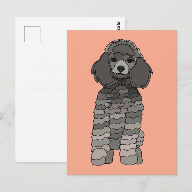 Postal Mascota de perro caniche (Anverso / Reverso)