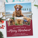 Postal Mascota de perro Collage de fotos te queremos Feli<br><div class="desc">¡Te Alegramos Una Feliz Navidad! Envíe saludos lindos y divertidos de vacaciones con esta tarjeta de festividad personalizado mascota súper adorable y personalizada. Feliz Navidad deseos del perro con hermosas huellas de pata en un divertido diseño moderno de collage de fotos. Añade las fotos de tu perro o de tu...</div>