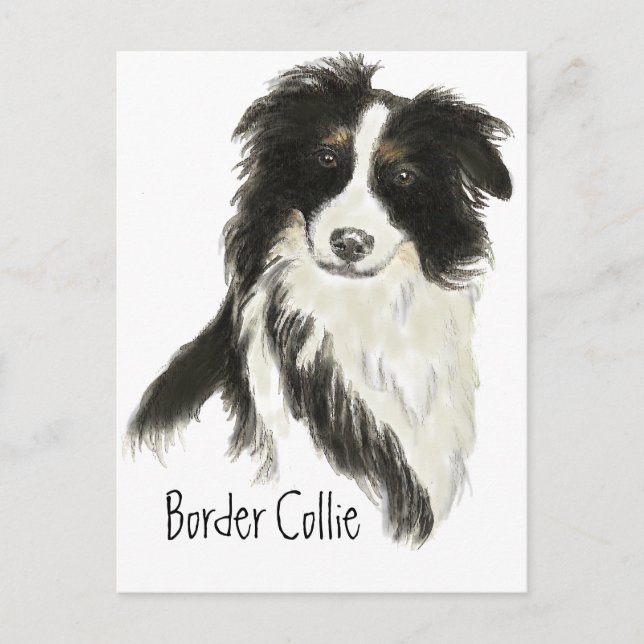 Postal Mascota de Perro Collie Fronterizo Animal (Anverso)