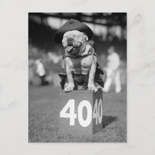 Postal Mascota del Cuerpo de Marines, años 20