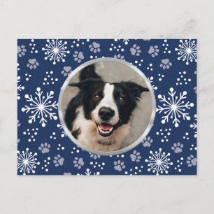 Postal Mascota del patrón de pasaje de nieve de la marina