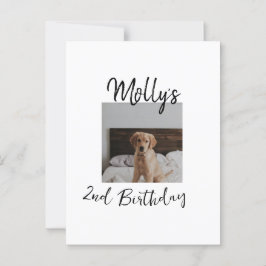 Postal Mascota perro gato animal cumpleaños foto moderno 