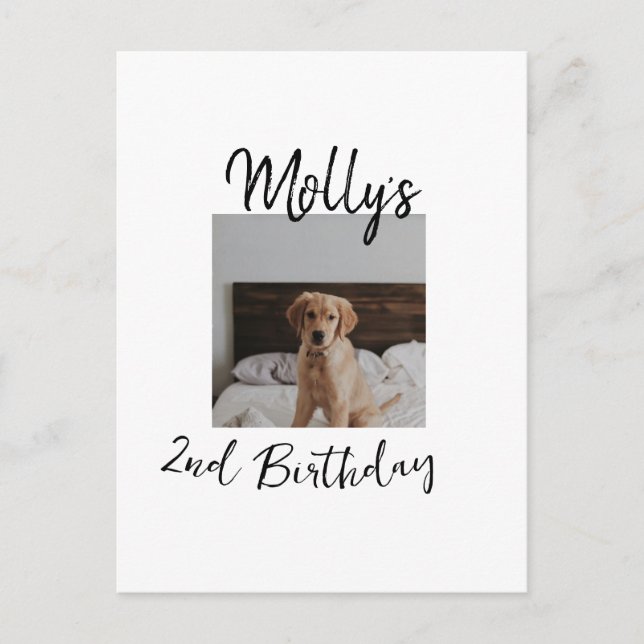 Postal Mascota perro gato animal cumpleaños foto moderno  (Anverso)