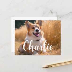 Postal Mascota personalizado Foto