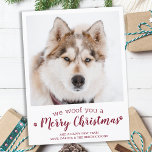 Postal Mascota Personalizado moderno foto perro amante Fe<br><div class="desc">¡Te Alegramos Una Feliz Navidad! Envíe saludos lindos y divertidos de vacaciones con esta tarjeta de festividad personalizado mascota súper adorable y personalizada. Feliz Navidad deseos del perro con hermosas huellas de pata en un divertido diseño fotográfico moderno. Añade la foto de tu perro o de tu familia con el...</div>