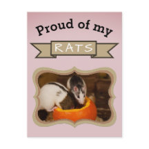 Mascota personalizado Rat Photo