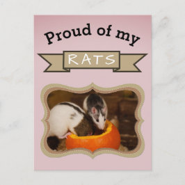 Postal Mascota personalizado Rat Photo