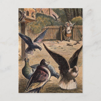 Postal Mascota Pigeons saludando a joven Chica en la cart
