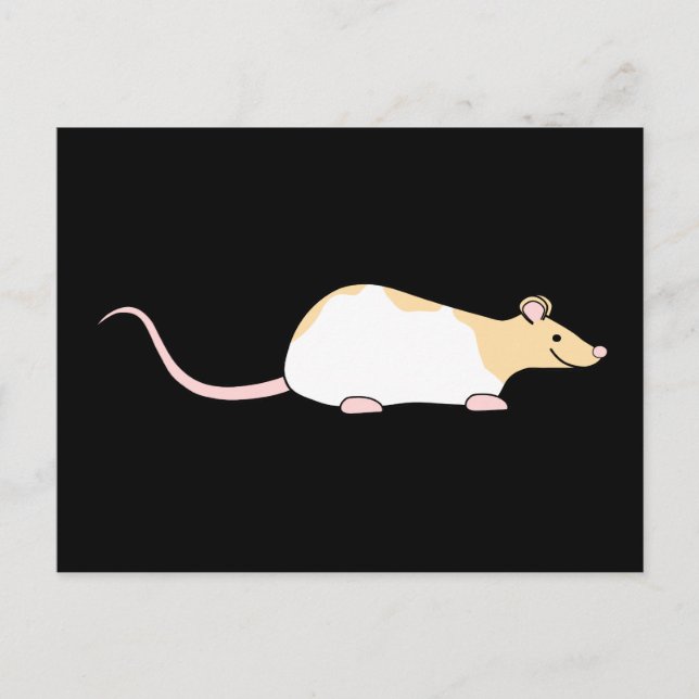 Postal Mascota Rat. Fawn y White Hooded Variegated. (Anverso)