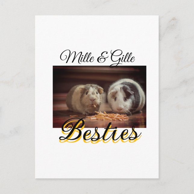 Postal Mascotas amigos bestias agregar nombre mascota fot (Anverso)