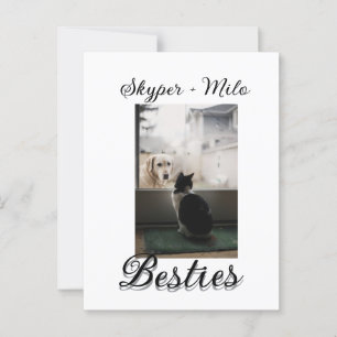 Postal Mascotas amigos bestias agregar nombre mascota fot